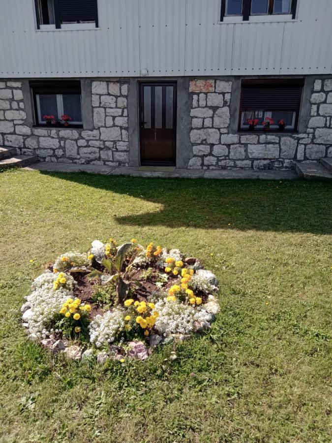 Apartment M Zabljak  Exterior photo